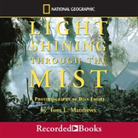 Light_Shining_Through_the_Mist